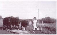 Eva Chalifour avec ses vache à lait